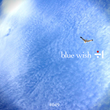 ÷1 |blue wish